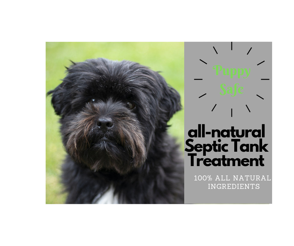 Down John Septic Tank Treatment (Once-a-Year)| Improves Drain Field Absorption