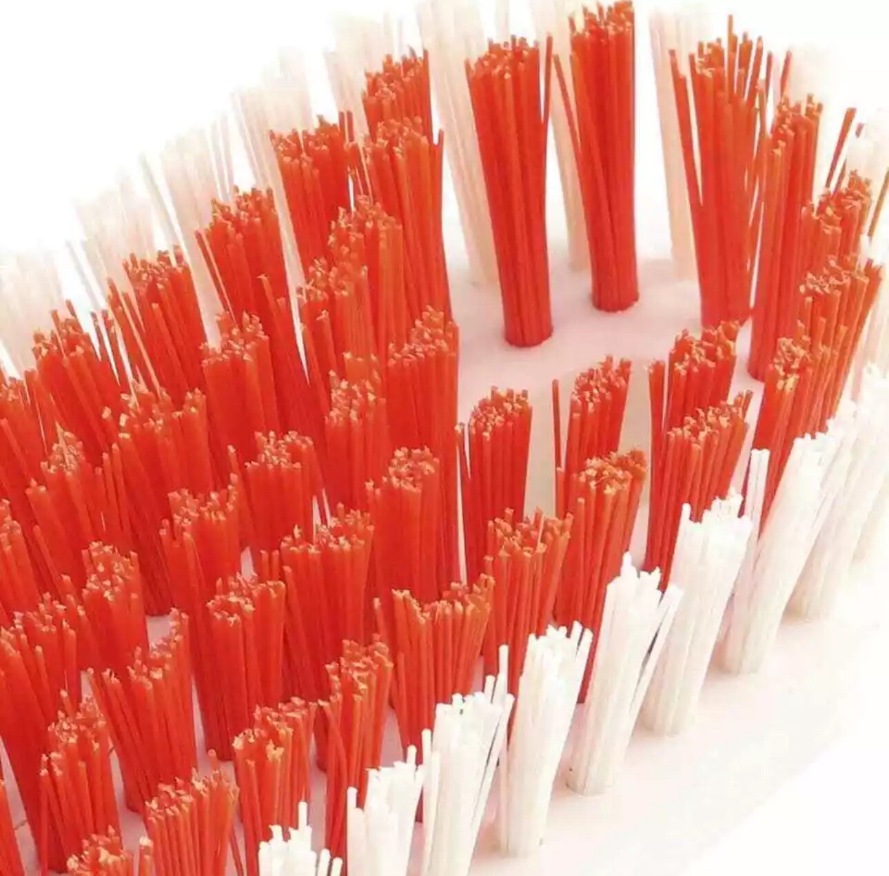 NEW Kitchen and Bath Scrub Brush Scrubber Stiff Fiber Kitchen Home Cleaning