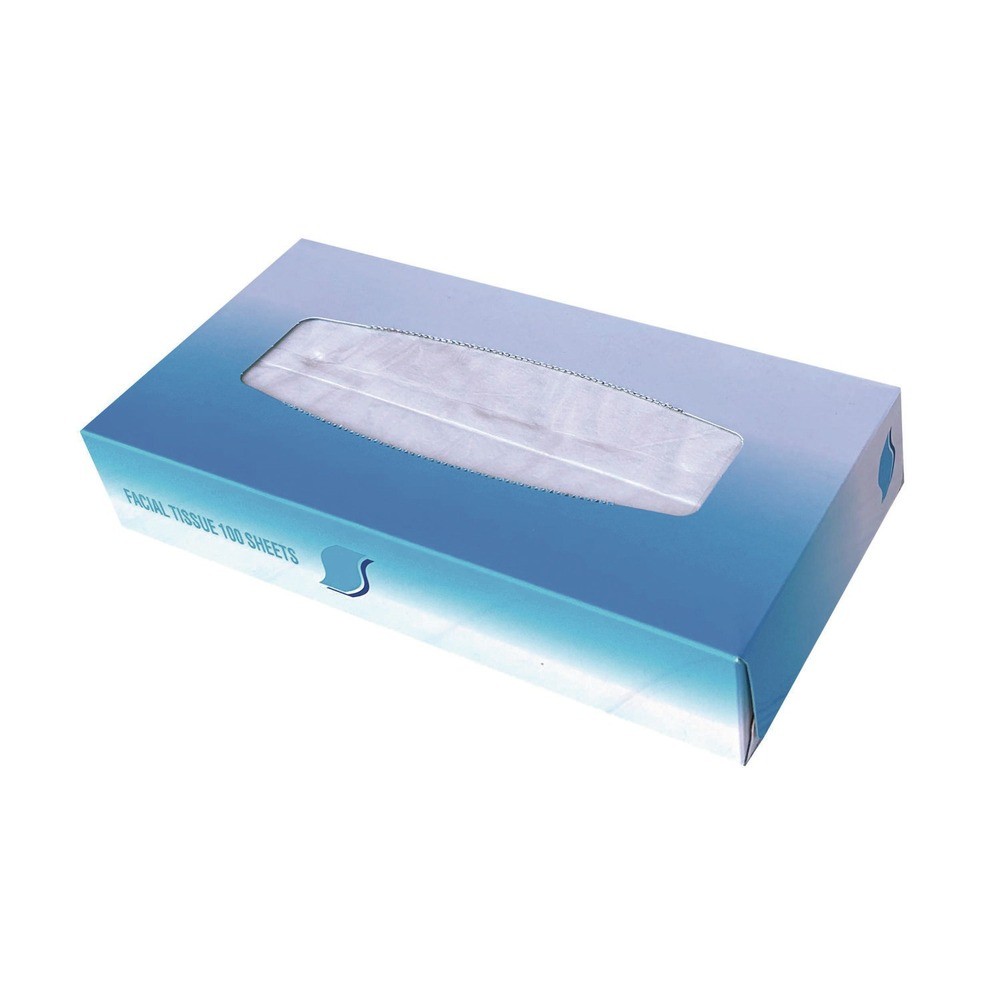 GEN 6501 2-Ply Flat Box Facial Tissue – White (3000/CT) New
