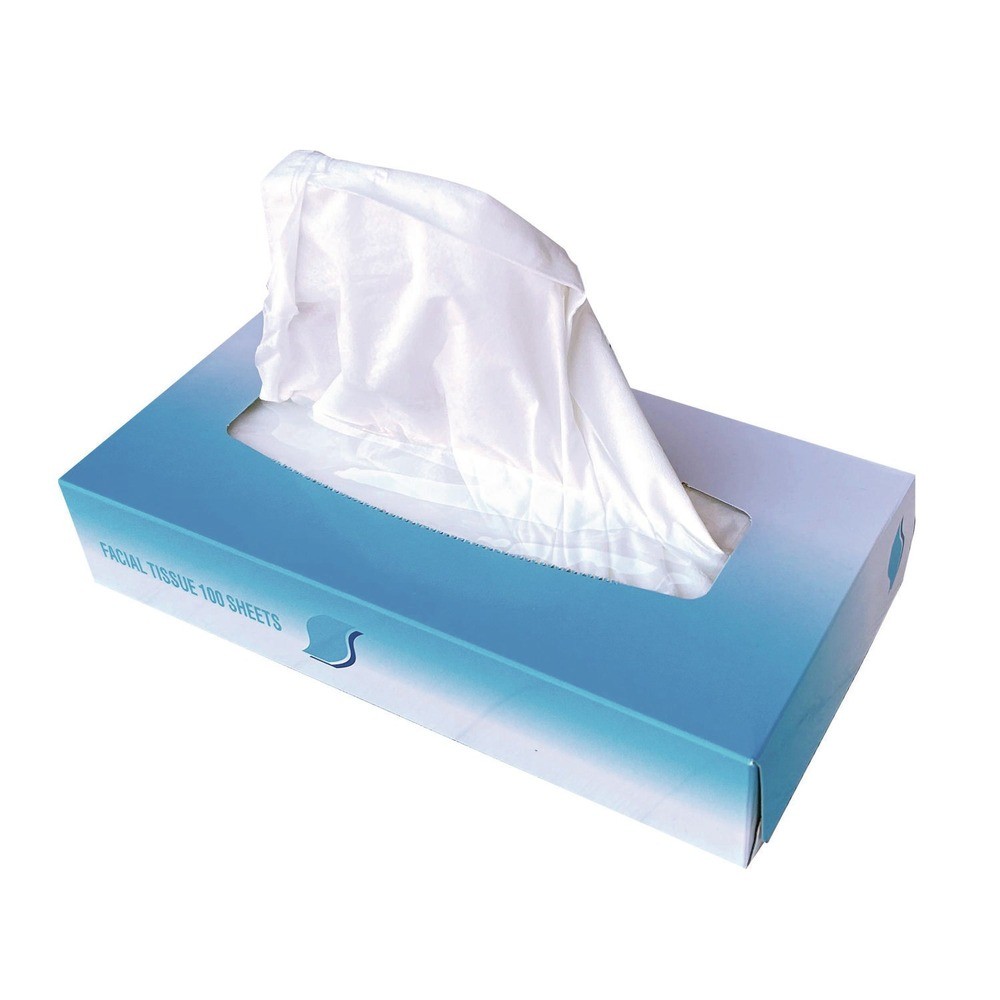 GEN 6501 2-Ply Flat Box Facial Tissue – White (3000/CT) New