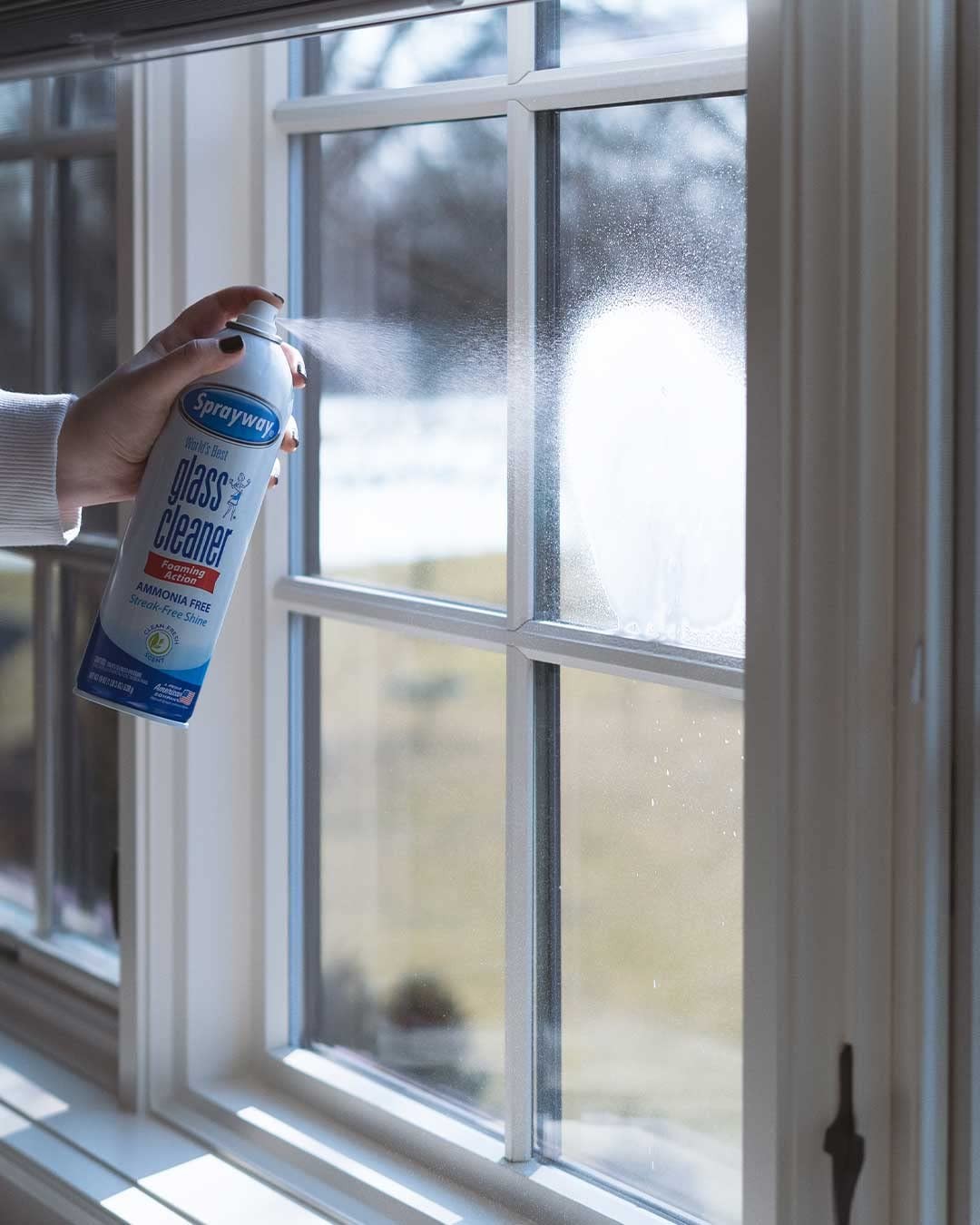 Sprayway Glass Cleaner with Foaming Spray for a 9 Ounce (Pack of 12), White