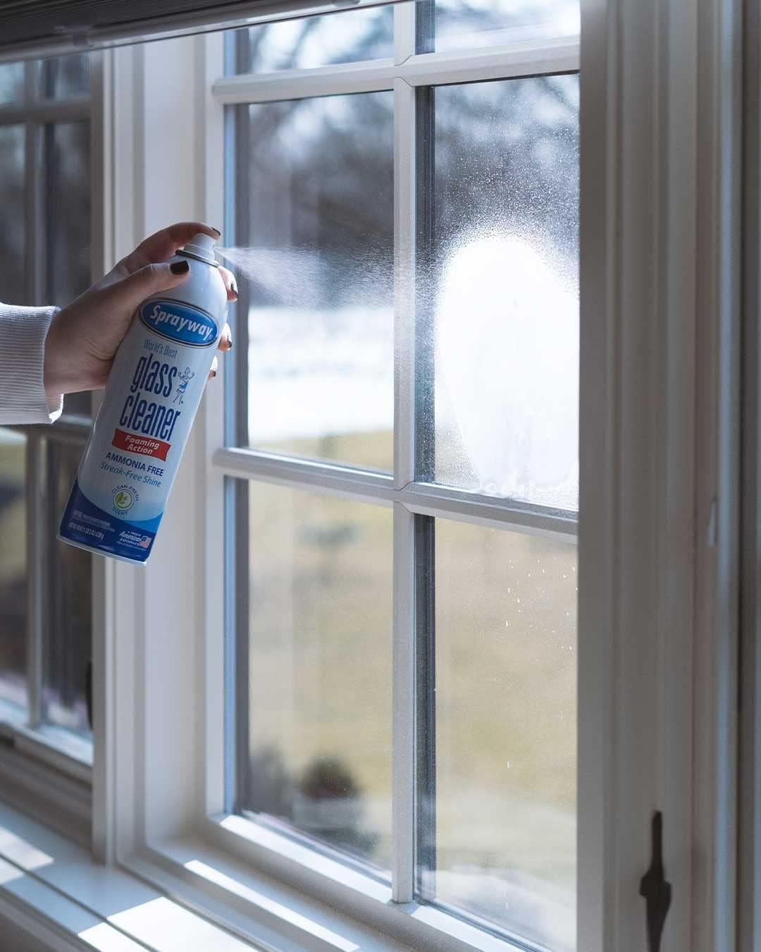 Sprayway Glass Cleaner with Foaming Spray for a Streak-Free Shine Pack of 12
