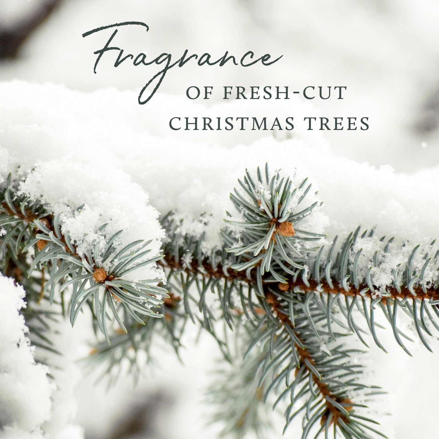 Soft Surface Scrub Frasier Fir Multipurpose Cleaner Pine Scented 11.5 Fl Oz
