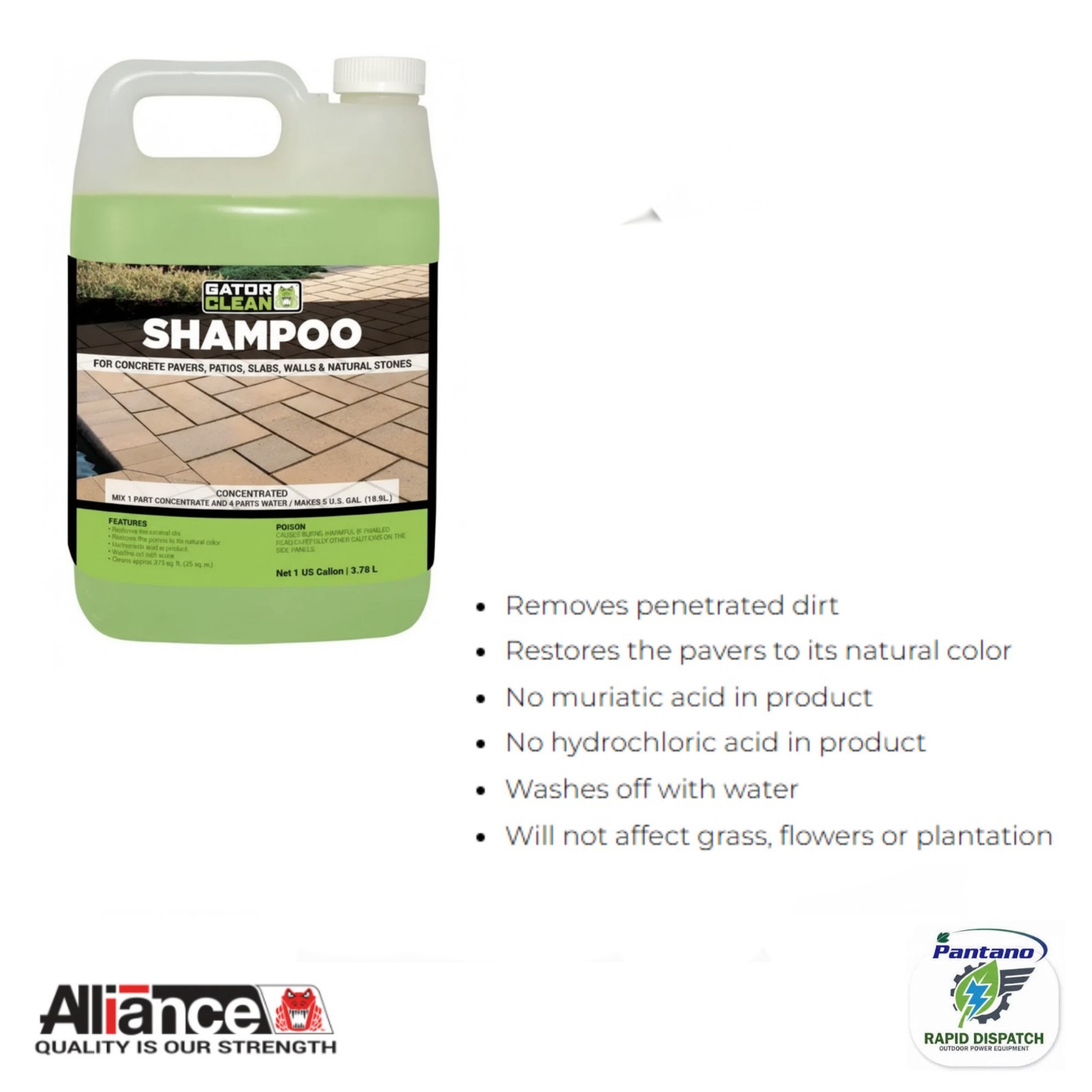 Alliance Gator Clean Shampoo for Pavers Patios Walls & Natural Stone 1 Gal