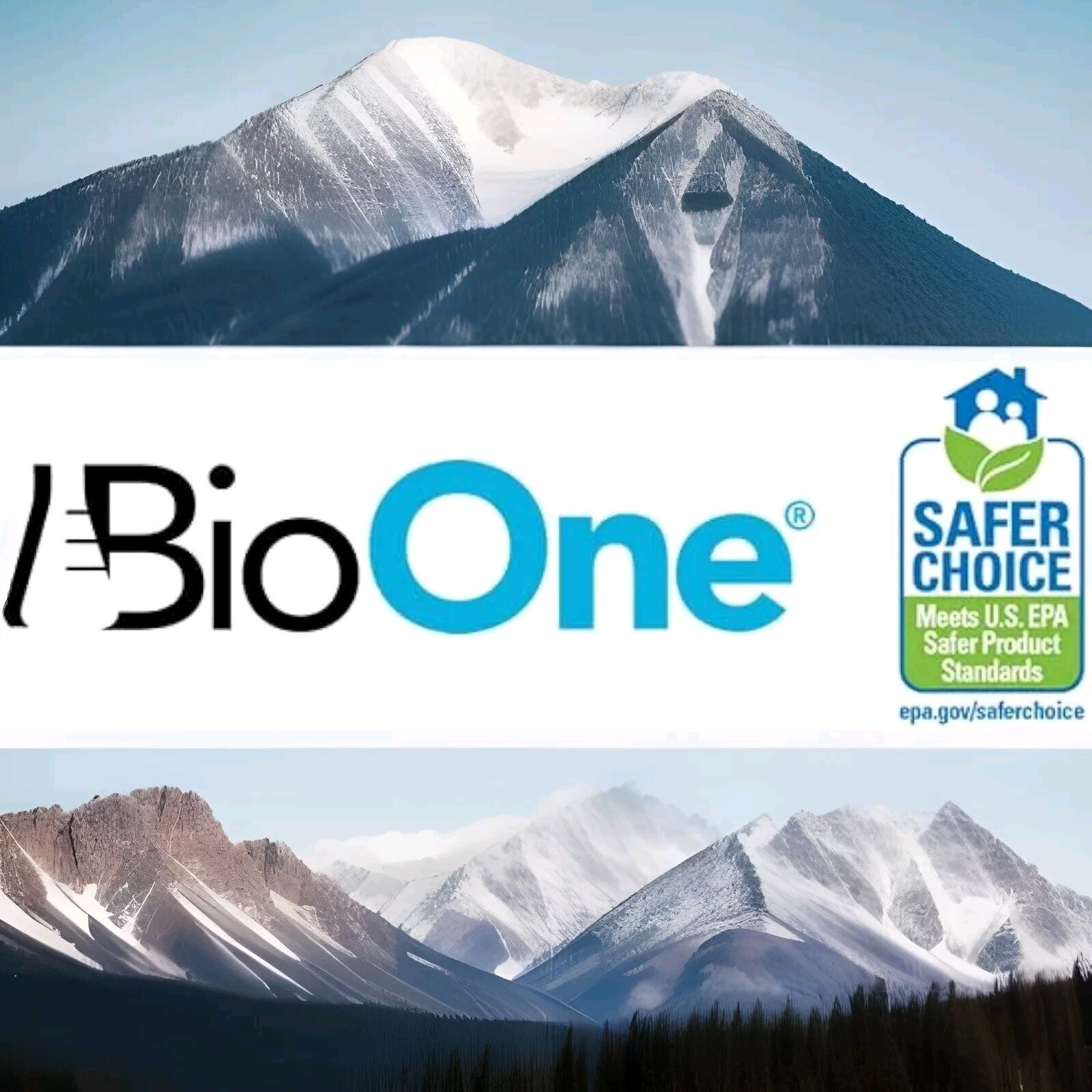BioOne Organic Drain Cleaner, Maintainer and Clog Remover