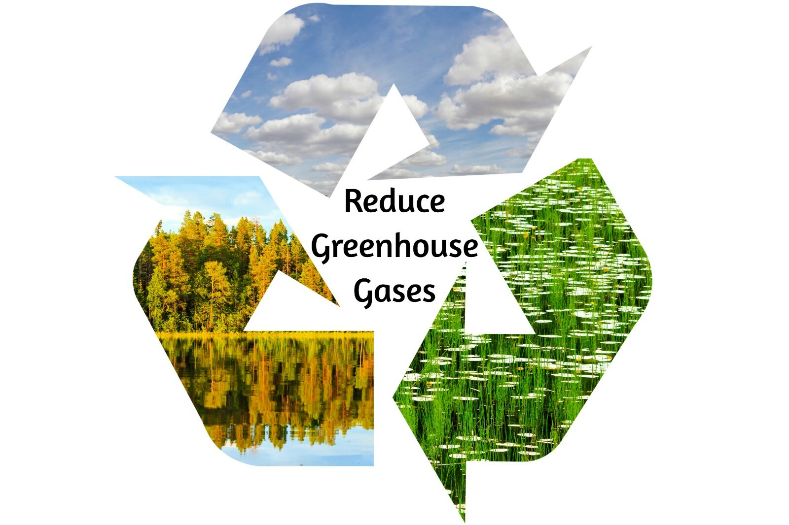 Down John Septic Tank Treatment (Once-a-Year)| Improves Drain Field Absorption