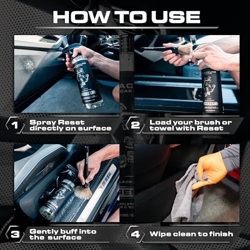 Luxury Scented Interior Cleaner Reset Deep 16 Fl Oz (Pack of 1) Dark Ice
