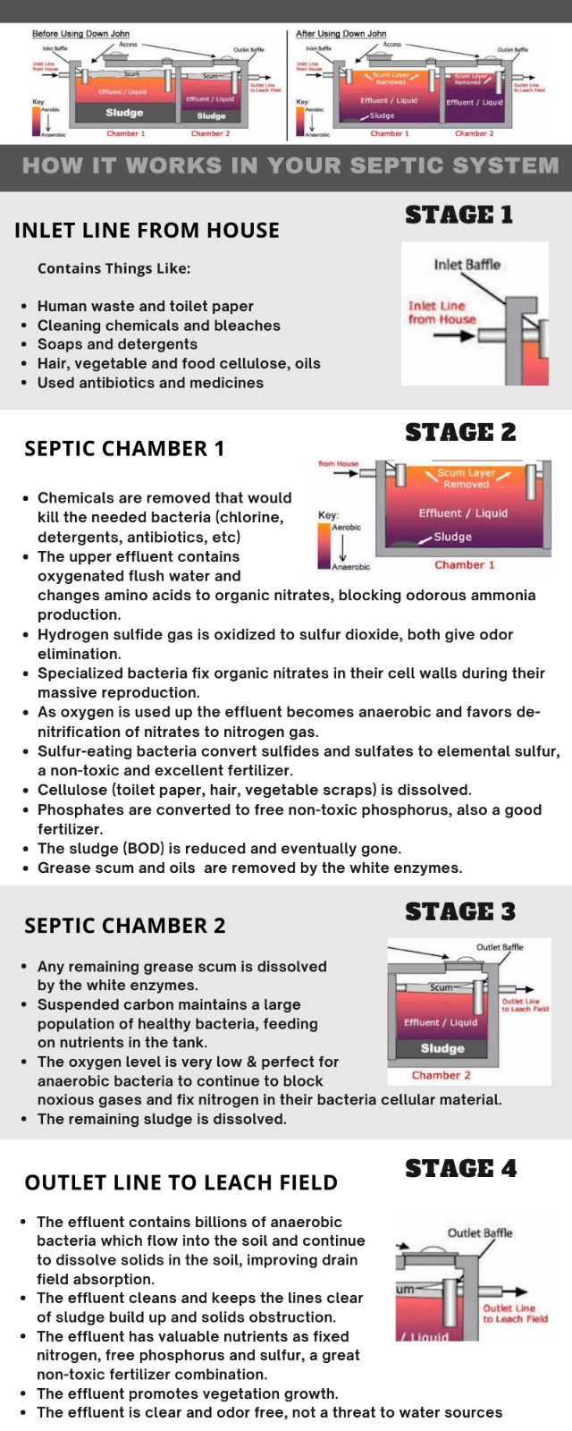 Down John Septic Tank Treatment (Once-a-Year)| Improves Drain Field Absorption