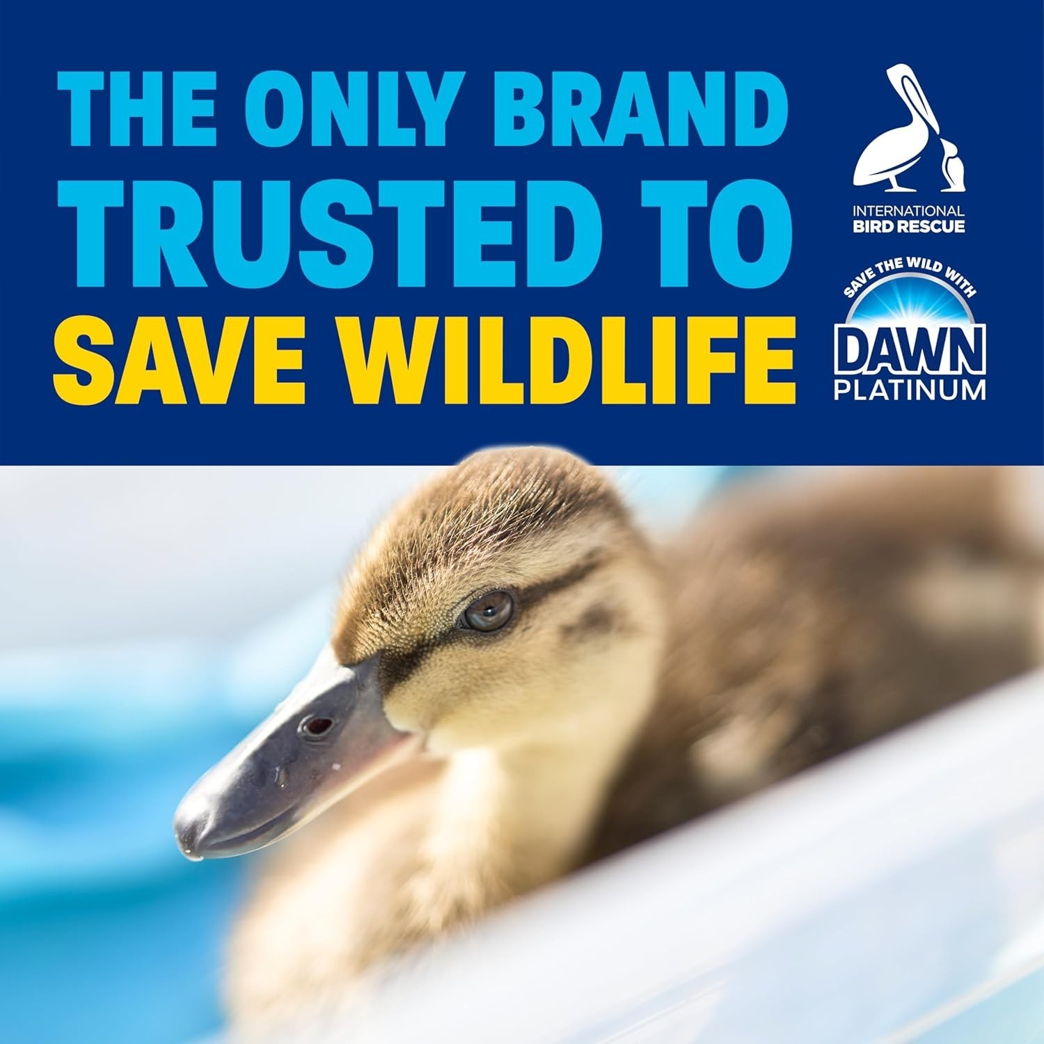 Dawn Ultra Dishwashing Liquid Dish Soap, Original Scent, 38 fl oz