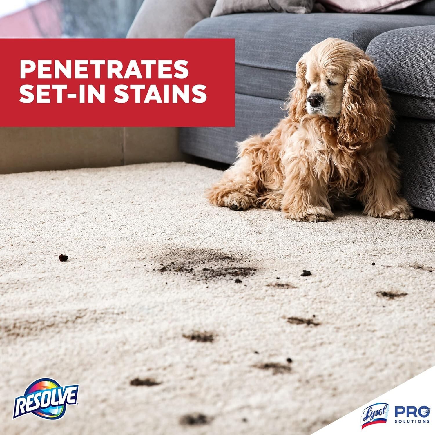 Resolve Professional Strength Spot and Stain Carpet Cleaner 32 Fl Oz (Pack of 1)
