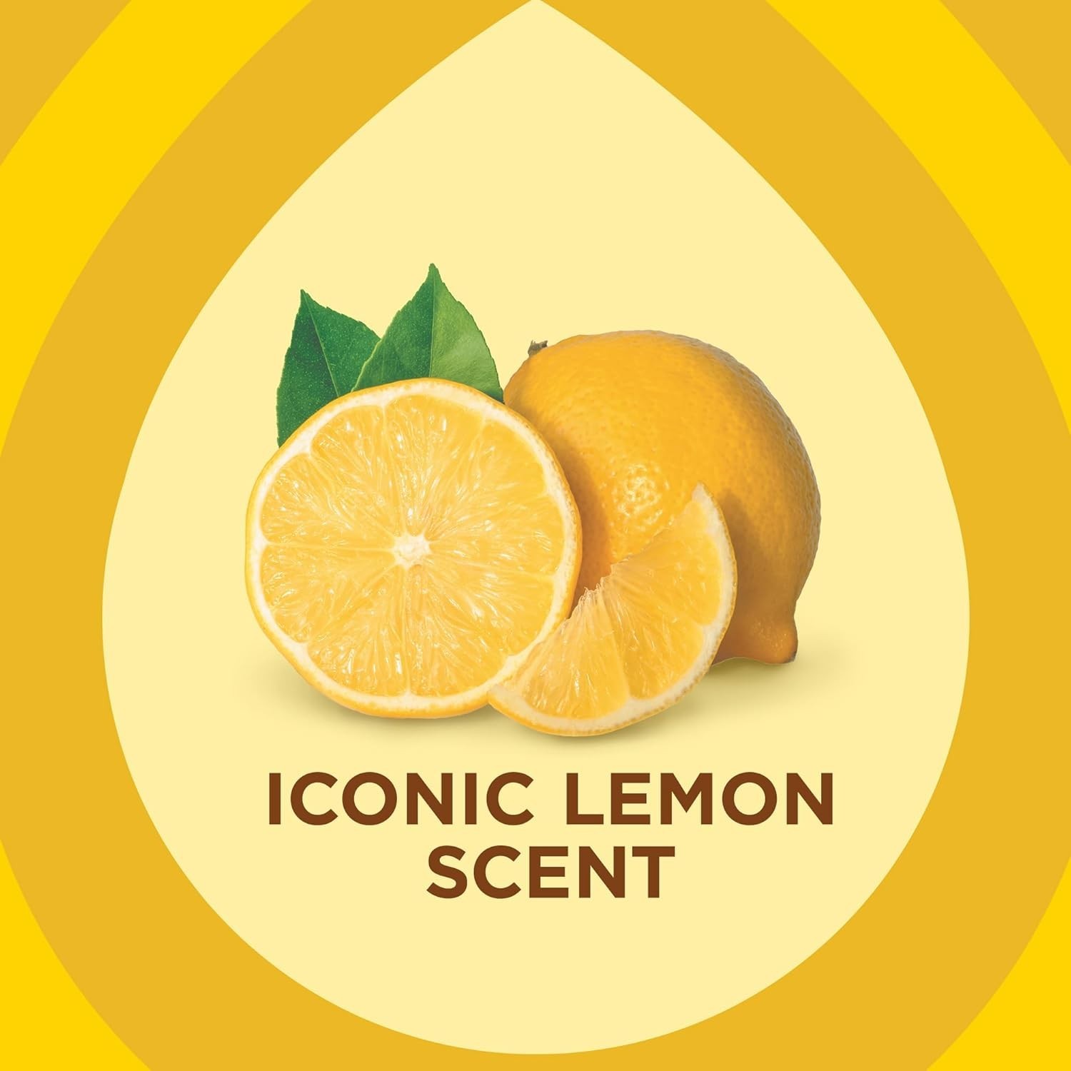 Pledge Enhancing Polish Spray Furniture & Wood Lemon Scent 9.7oz Pack of 3 – NEW