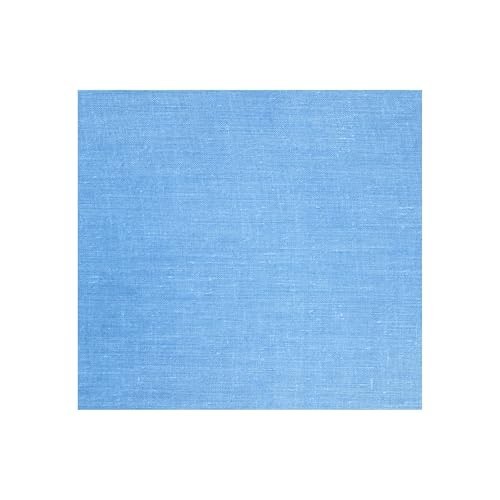 BodyShop Essentials Automotive Degreasing Wipes 20 Pack – Blue Shop Towels for P