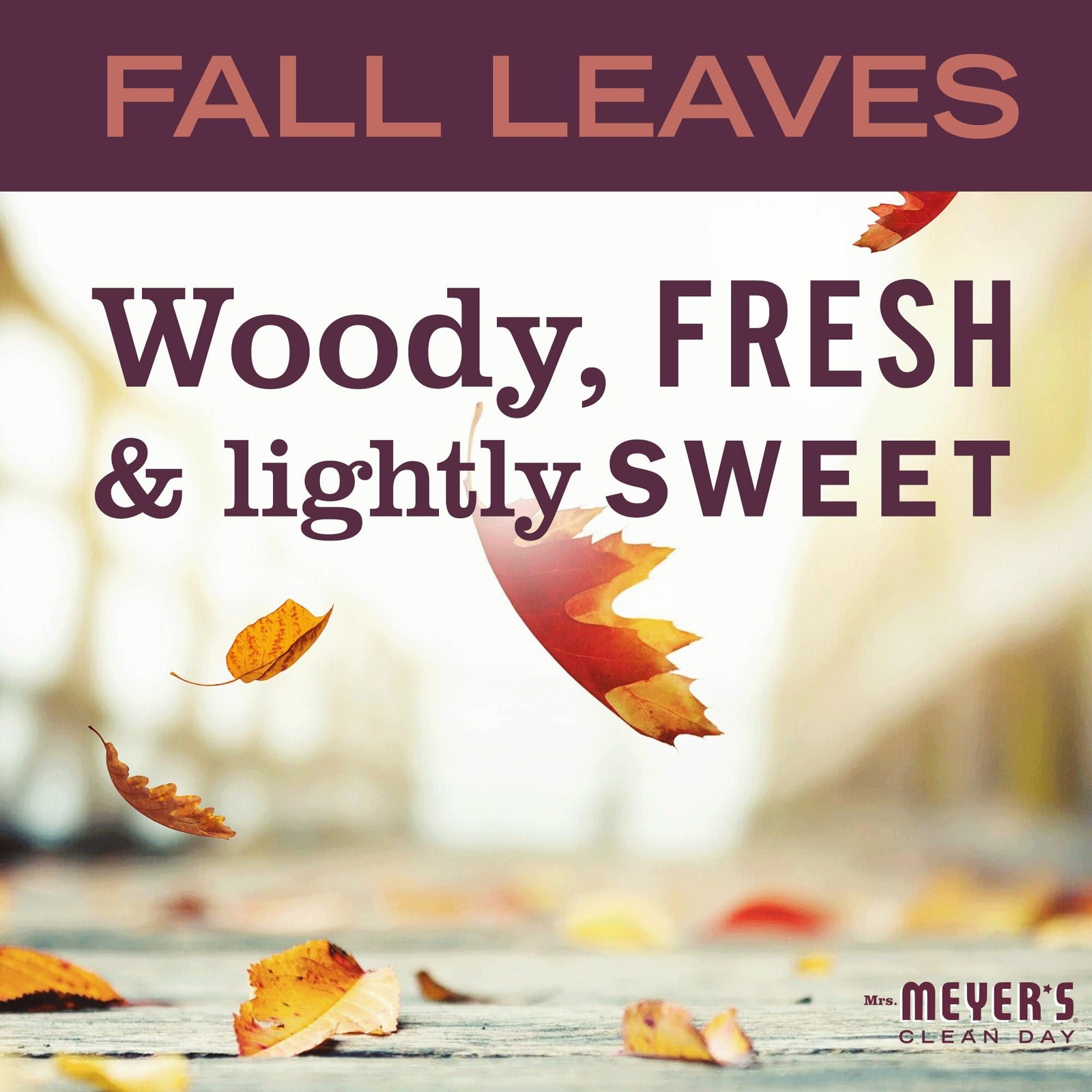 CLEAN DAY Dish Soap, Fall Leaves Scent, 16 fl oz (Pack of 3)