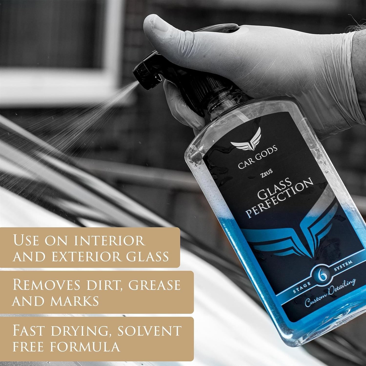 Quick Action 17 Fl Oz Glass Cleaner Spray – Streak-Free & Safe for Interiors