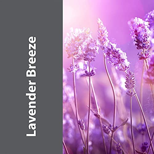 Pro-Grade All-Purpose Cleaner & 32 Fl Oz (Pack of 1) Lavender Breeze