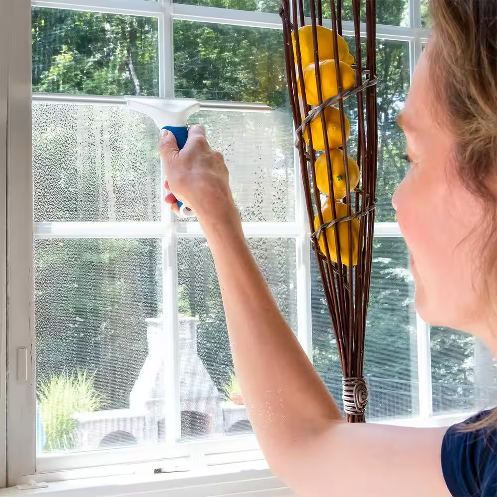 12 In. Glass and Surface Squeegee (2-Pack)