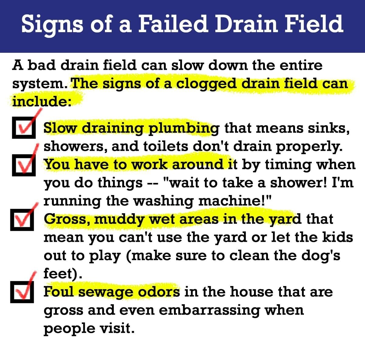 2-Pack Value BUNDLE of Drain Field Cleaner Tablets by Dr Pooper. Clears Septic T
