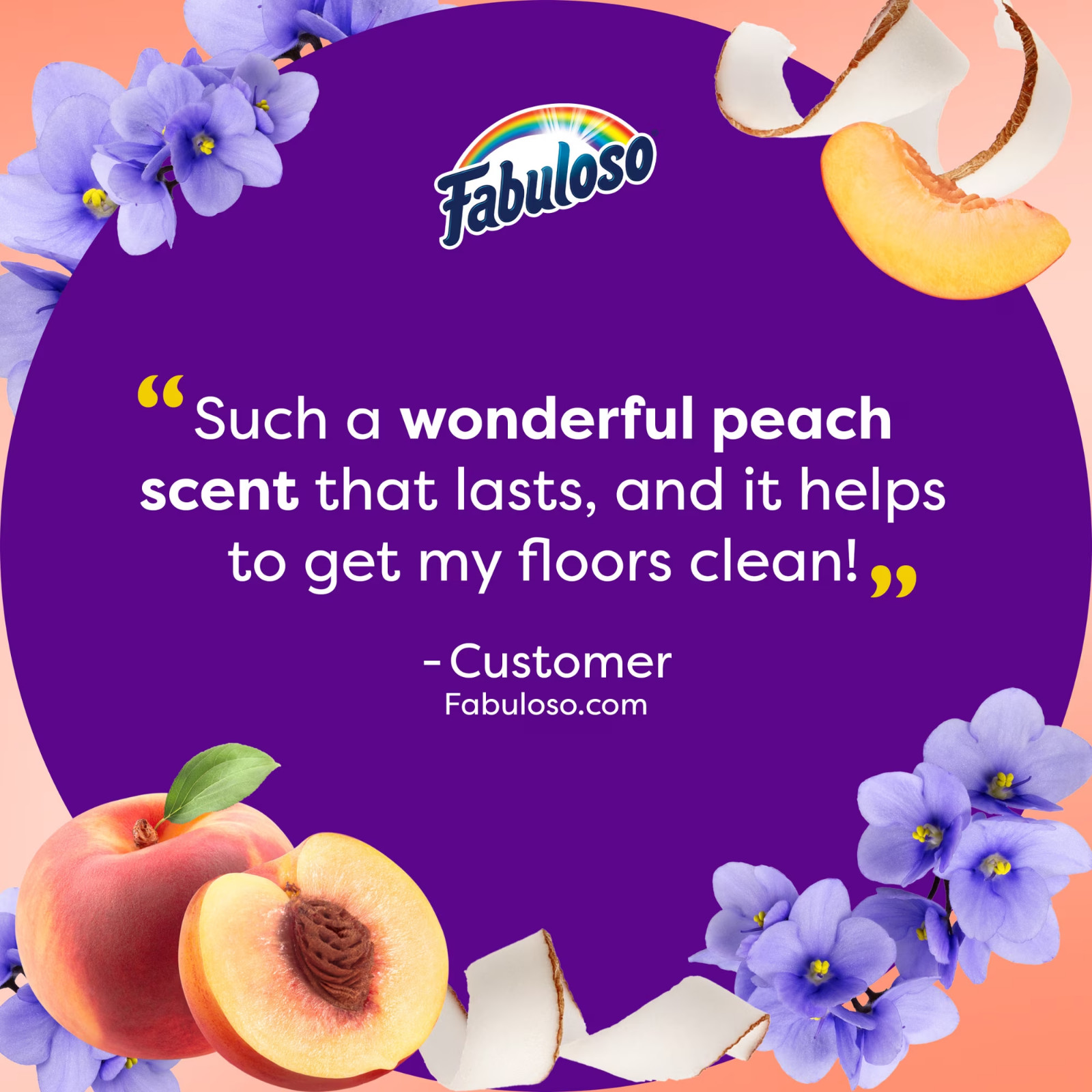 Fabuloso 2X Multi-Purpose Cleaner Peach Scent No Rinse Floor Cleaner 2 Pack 56oz