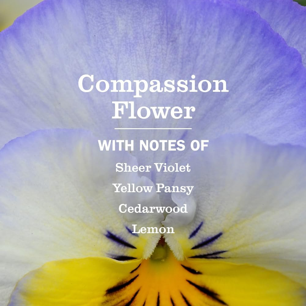 Mrs. MEYER’S Clean Day Multi-Surface Everyday Concentrate, Compassion Flower Sce