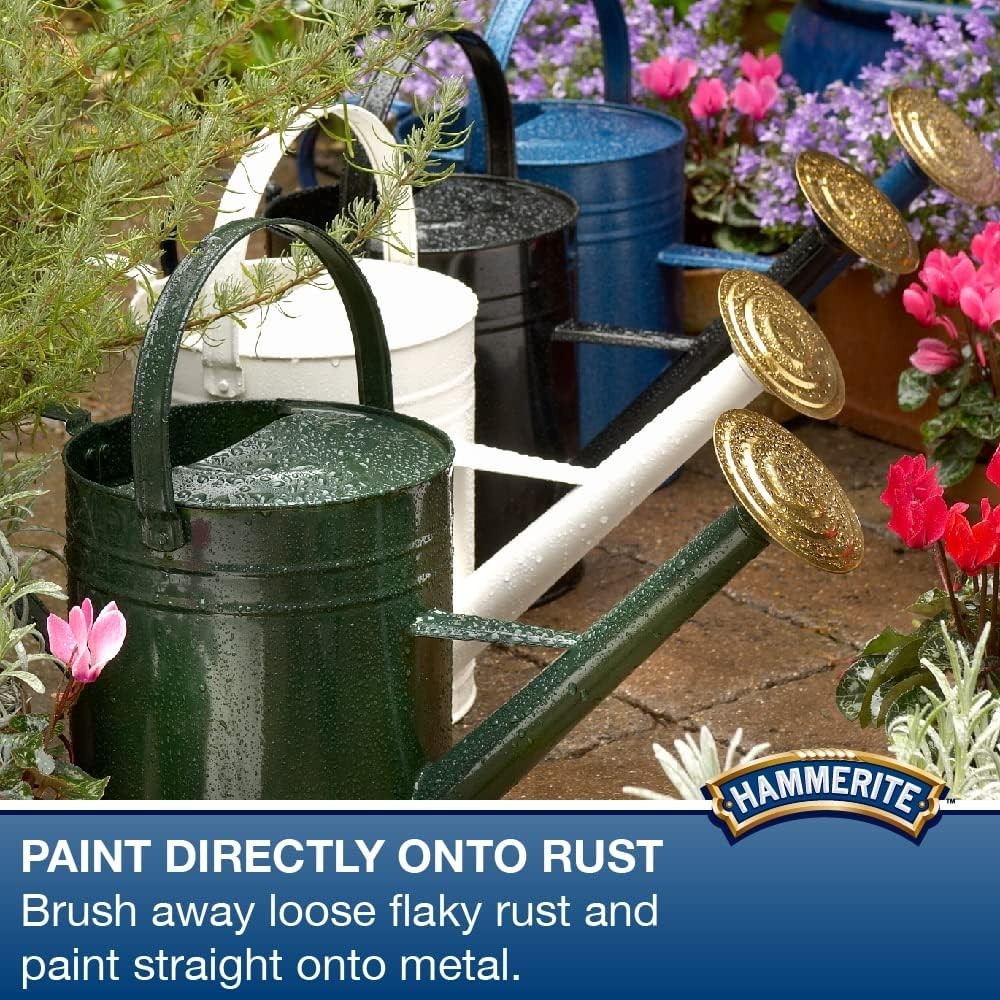 Effective 100ml Rust Remover Gel – Safe for Interior & Exterior Metalwork