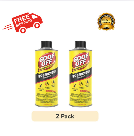(2 PACK )Goof Off FG653 Professional Strength Remover, Pourable 16-Ounce, Liquid