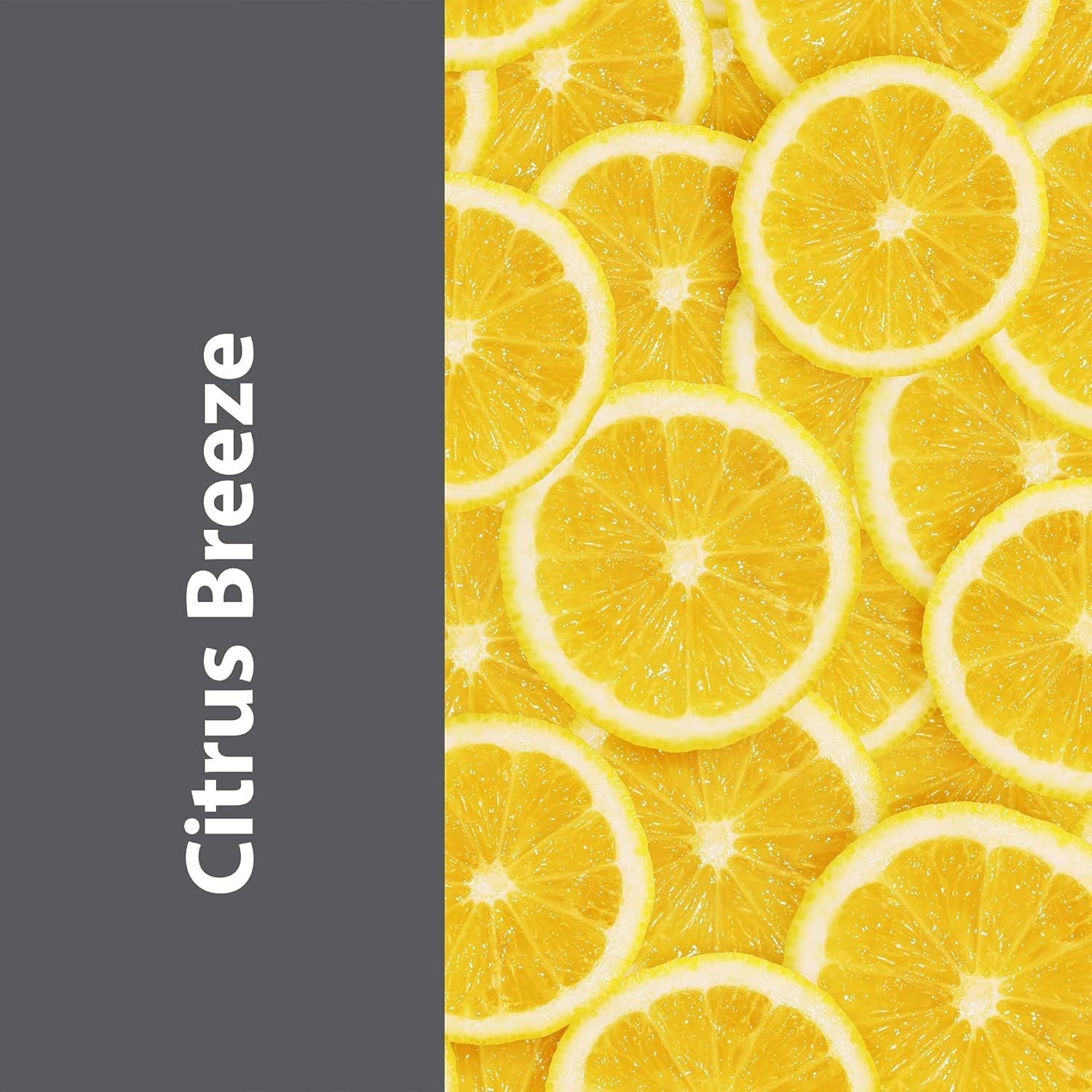 Professional Deep Cleaning Concentrate – Citrus Breeze