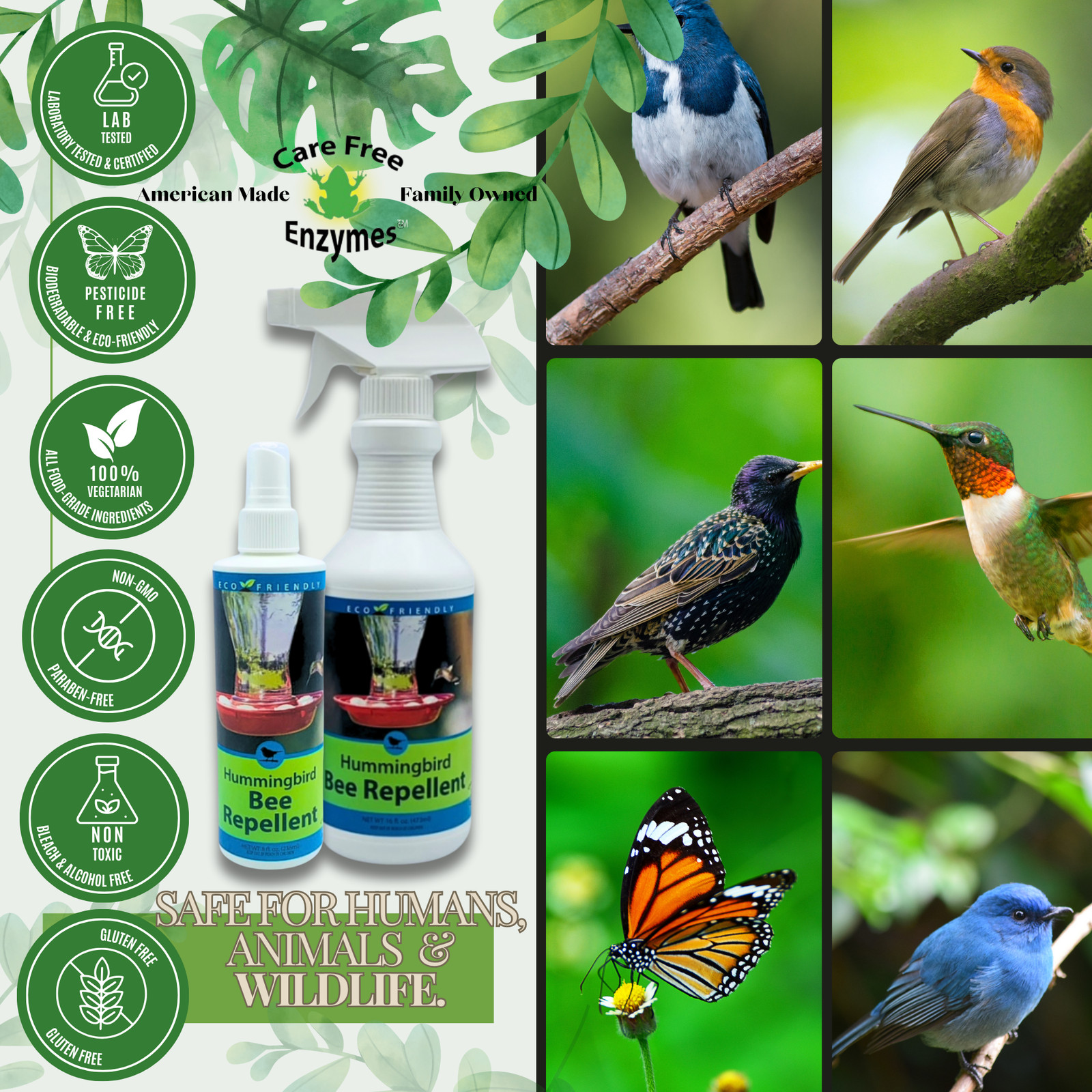 Natural Bee & Wasp Repellent for Hummingbird Feeders | Hummingbird Bee Repellent