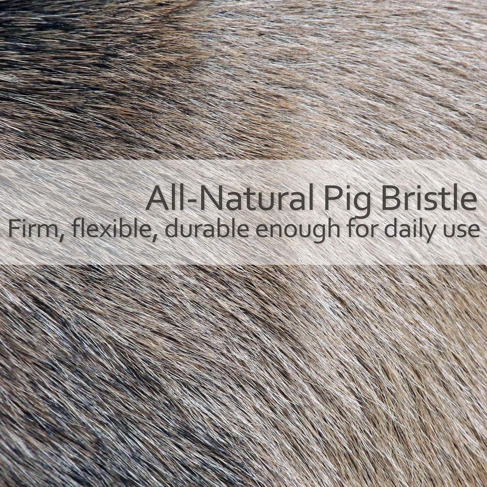 Natural Pig Bristle Hat Brush with Oiled Pearwood Handle, 9-1/4-Inches