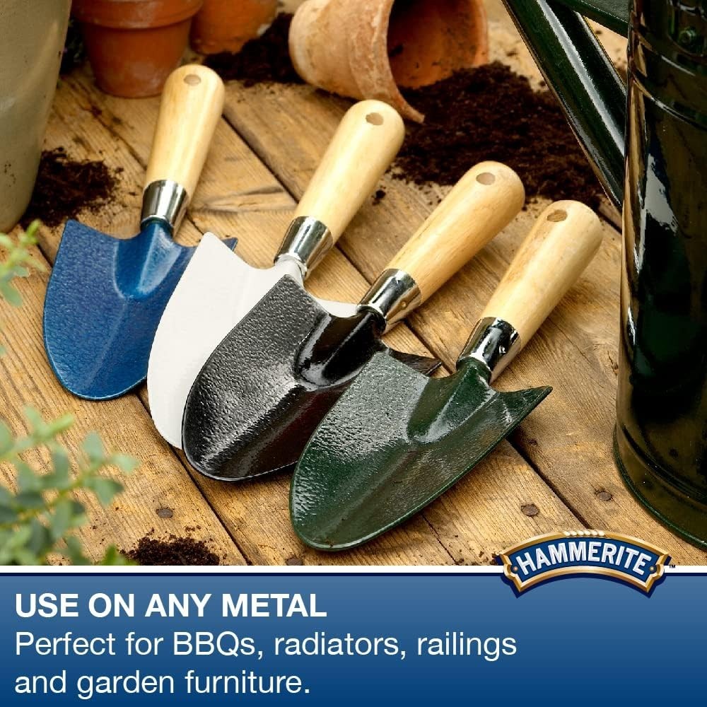 Effective 100ml Rust Remover Gel – Safe for Interior & Exterior Metalwork