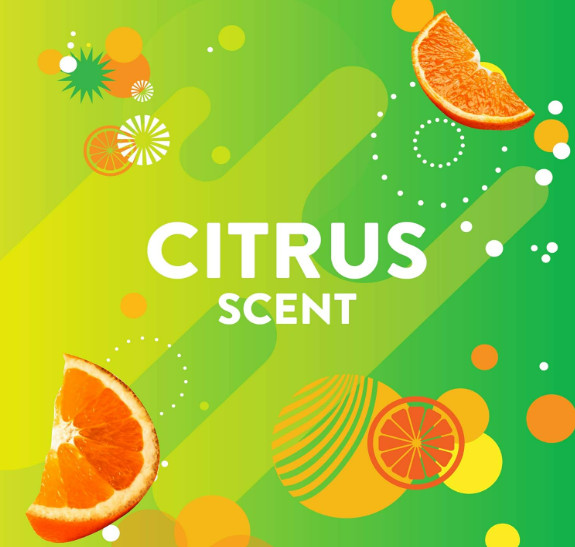 Scrubbing Bubbles Citrus Gel Toilet Stamps Prevent Rings, Fresh Clean
