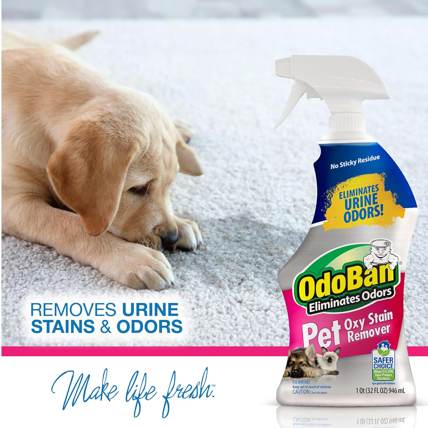 Pet Solutions No Rinse Neutral Ph Floor Cleaner Concentrate, Made in the USA, 1