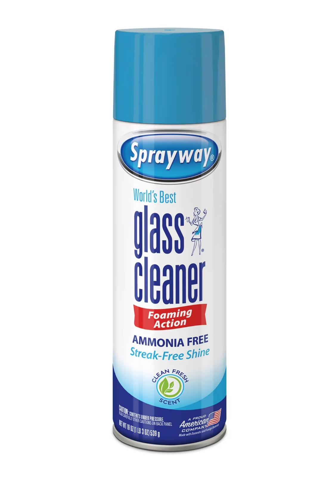 Sprayway Glass Cleaner Foaming Aerosol Spray, 19oz, Pack of 1 – NEW