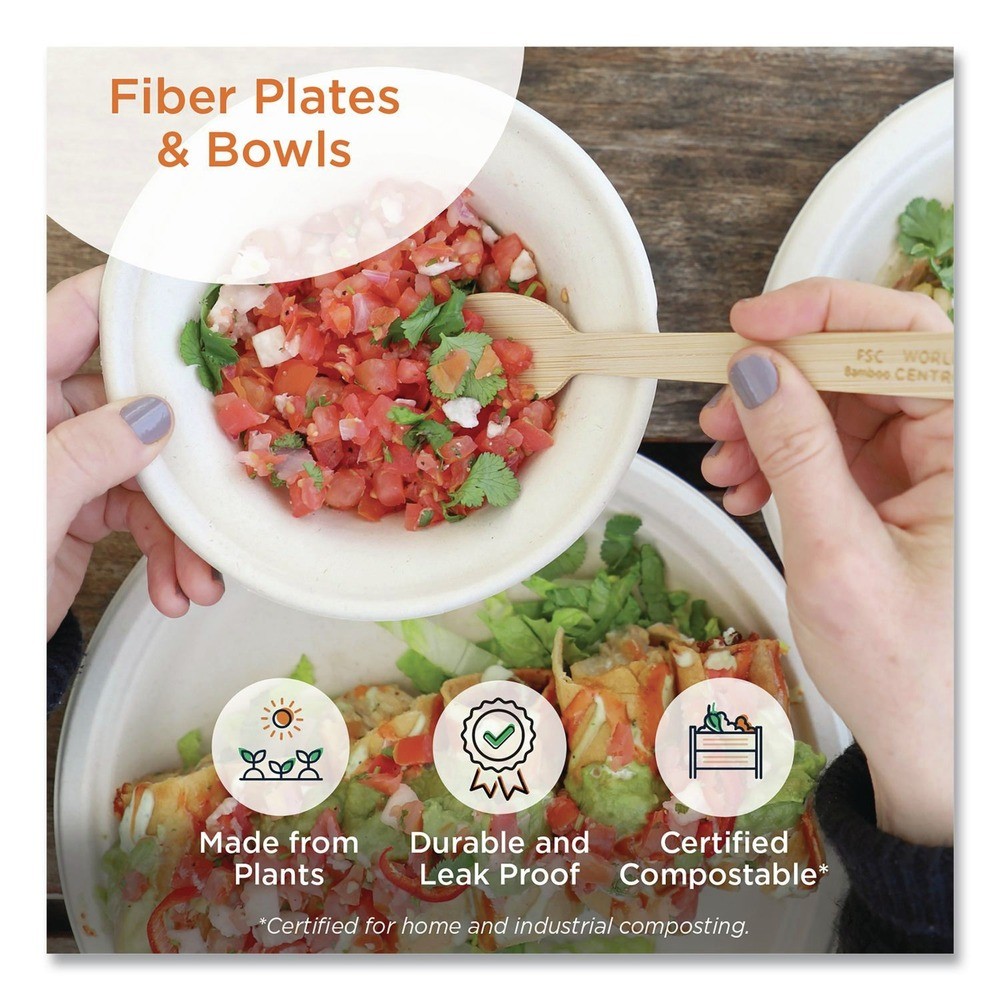 World Centric PLSCU10TLFS 10 in. Paper Fiber Plates – Natural (700/Carton) New