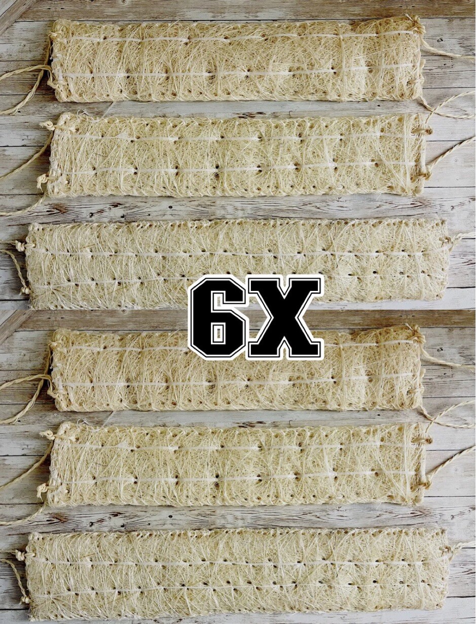 6x Estropajo De Ixtle Mexicano Ixtle Scourer Body Scrub 100% Natural Fibers