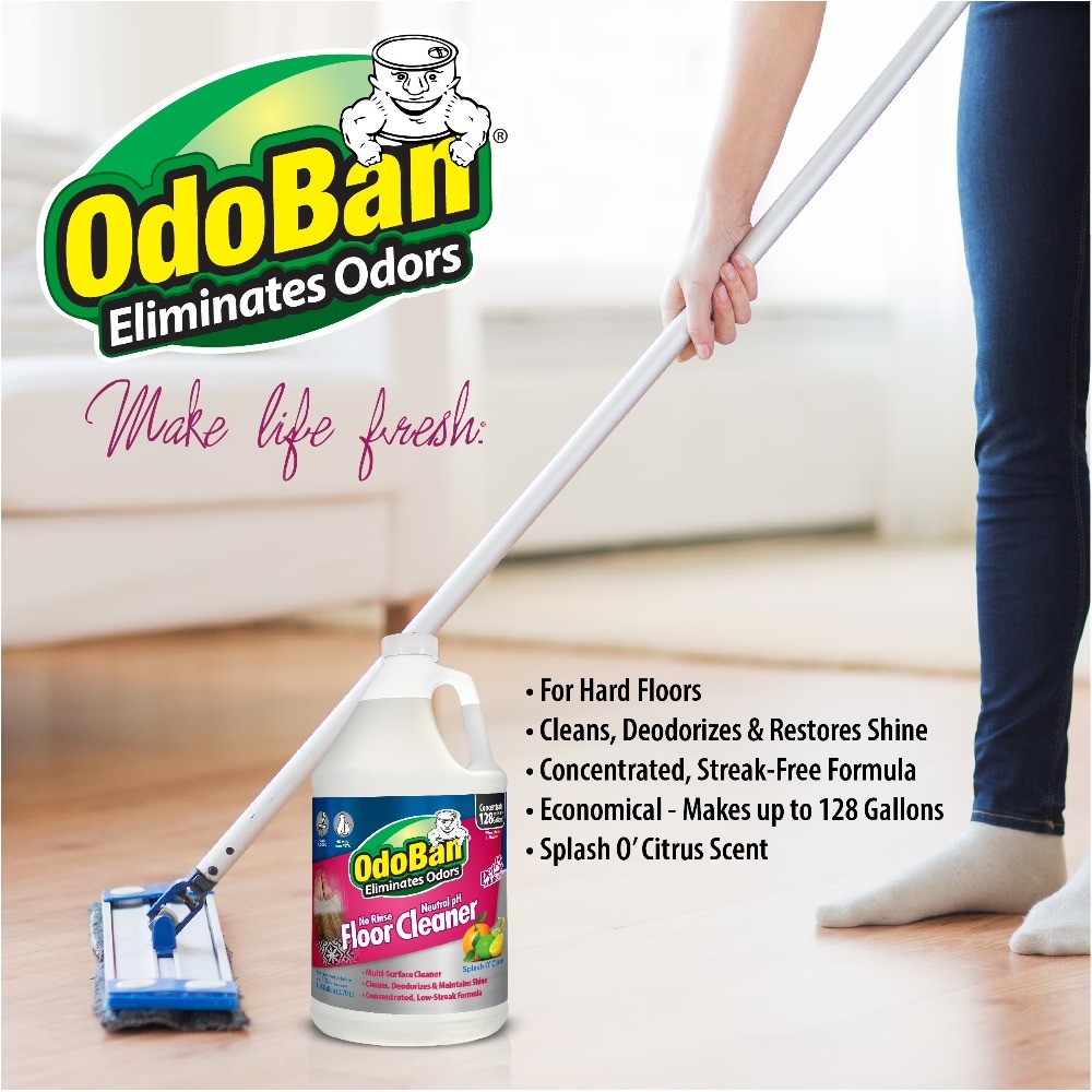 No Rinse Neutral pH Floor Cleaner Concentrate, 1 Gallon