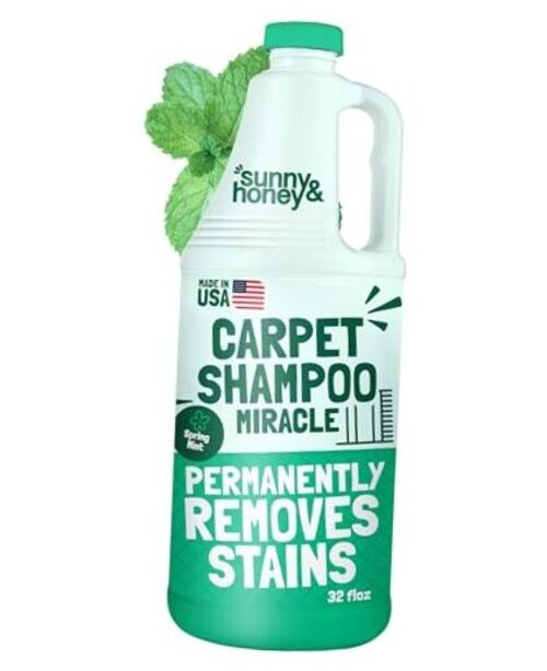 Heavy Duty Carpet Cleaner Solution for 32 Fl Oz (Pack of 1) Spring Mint Scent