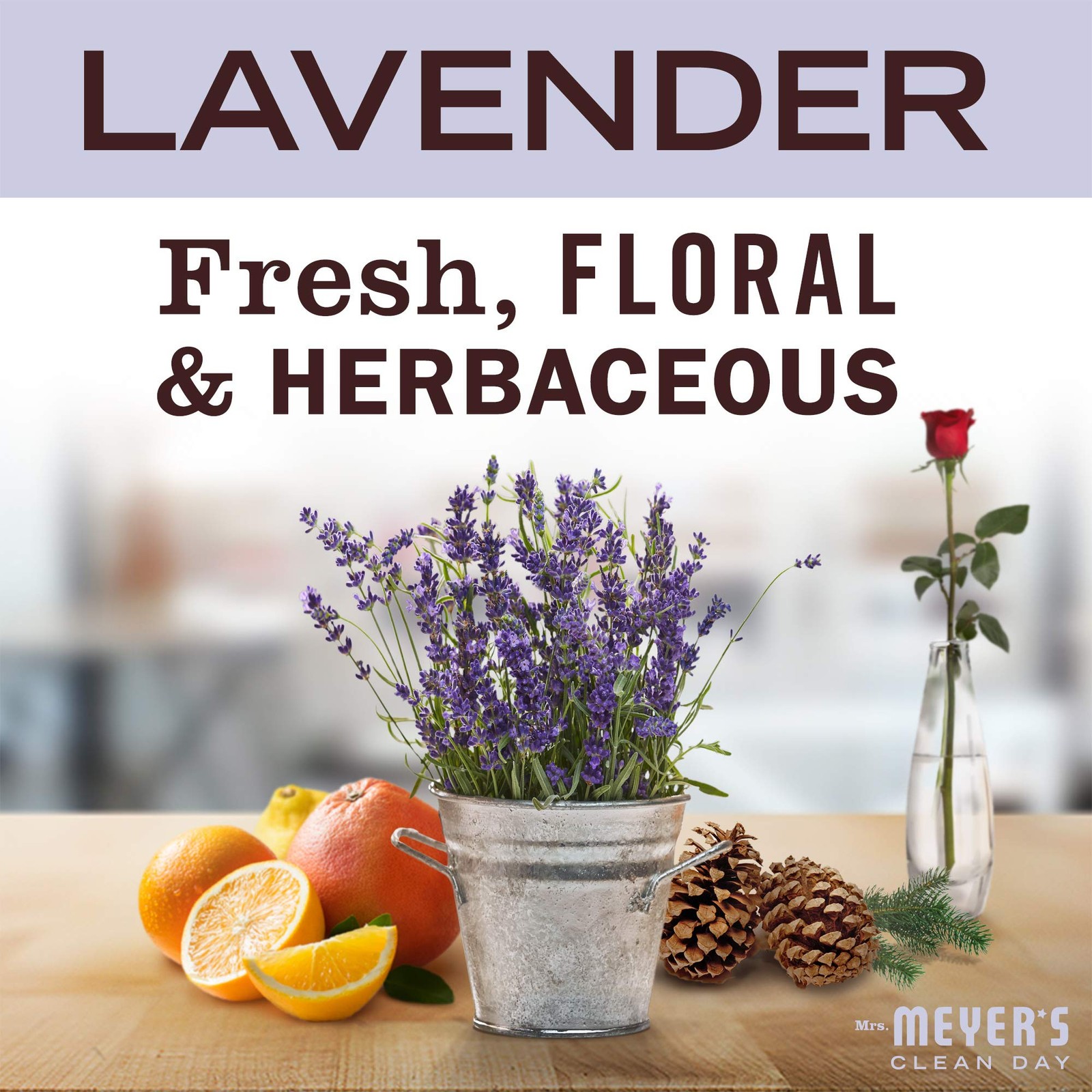 MRS. MEYER’S Clean Day Tub and Tile Cleaner, Lavender, 33 Fluid Ounce