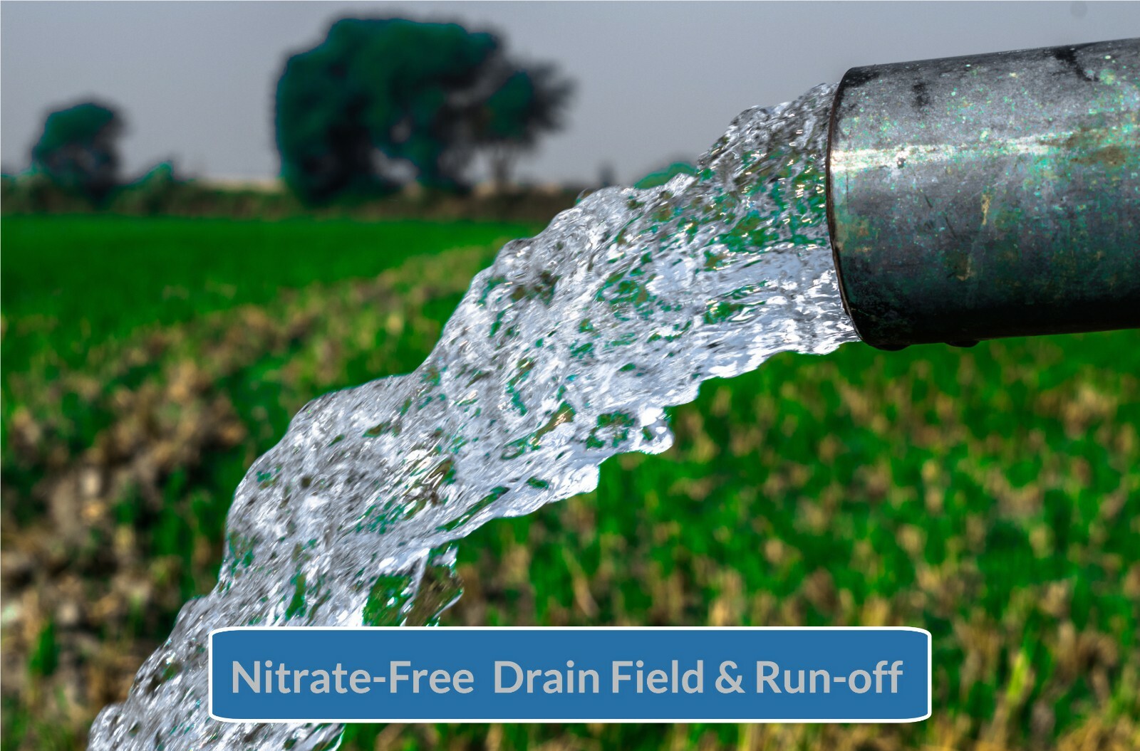 Down John Septic Tank Treatment (Once-a-Year)| Improves Drain Field Absorption