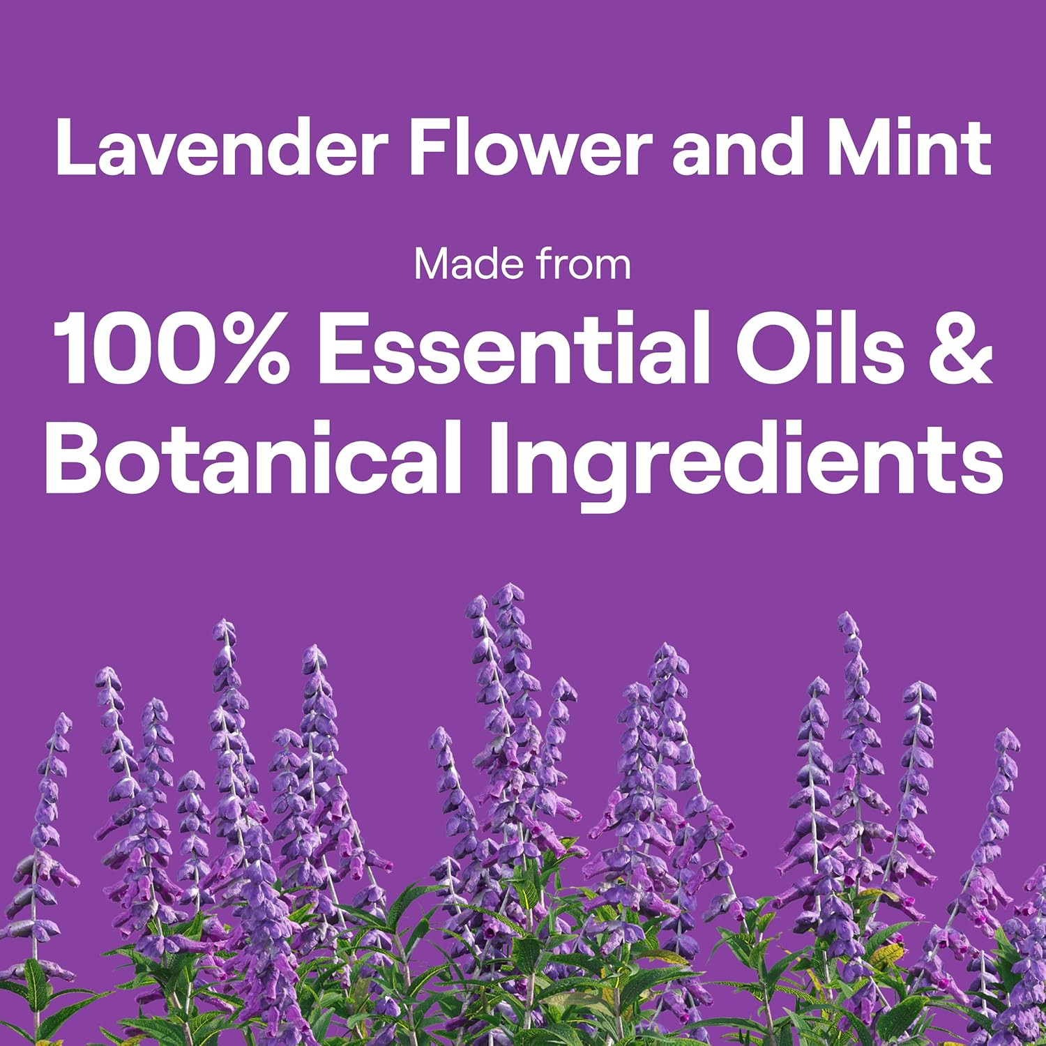Seventh Generation Dish Soap Liquid Lavender Flower & Mint Scent 19 oz Pack of 6