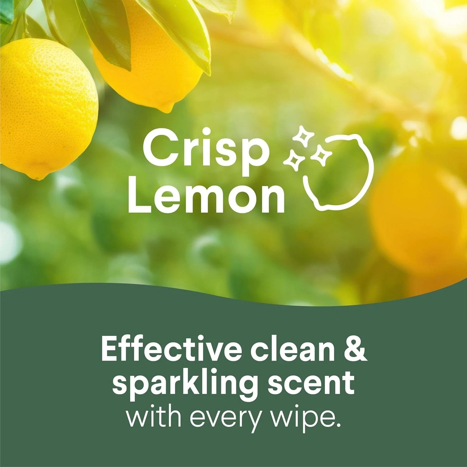Multi Surface Cleaning Wipes Bleach Free 6 Pack 75 Count Each Household Cleaner
