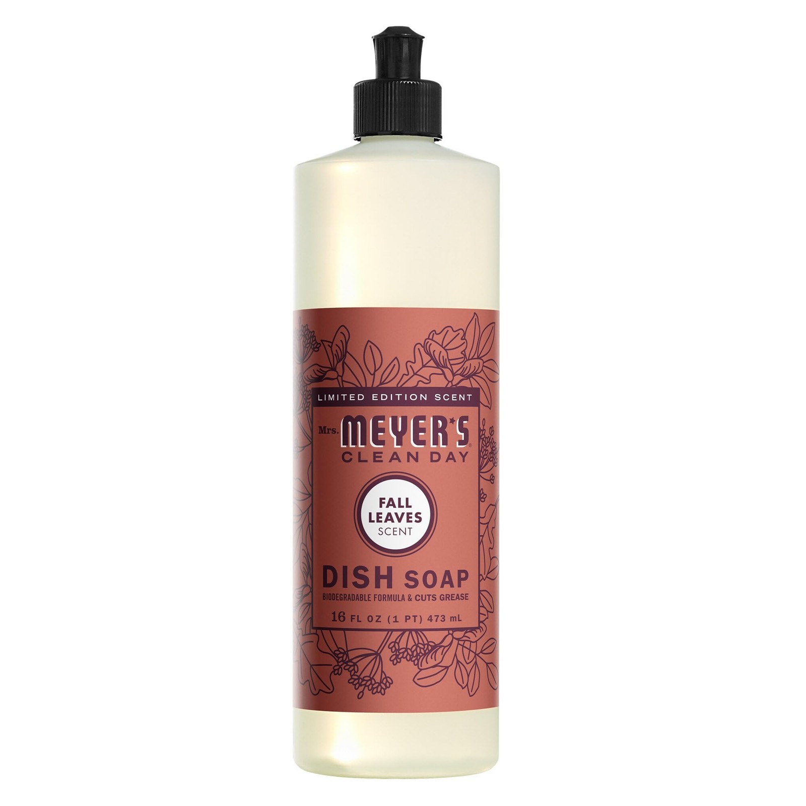 CLEAN DAY Dish Soap, Fall Leaves Scent, 16 fl oz (1)