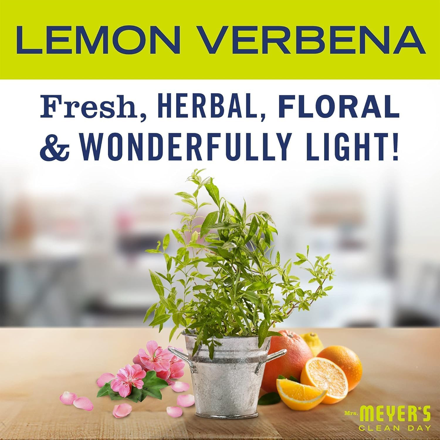 CLEAN DAY Liquid Dish Soap, Lemon Verbena, 16 Fl. Oz