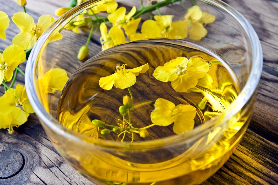 100% Pure Extra Virgin USDA Organic Unrefined Cold Pressed Camelina Seed Oil 1