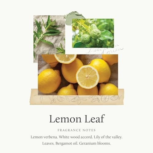 Lemon Leaf Countertop Cleaner Spray – 16.5 oz Household Cleaning Supplies