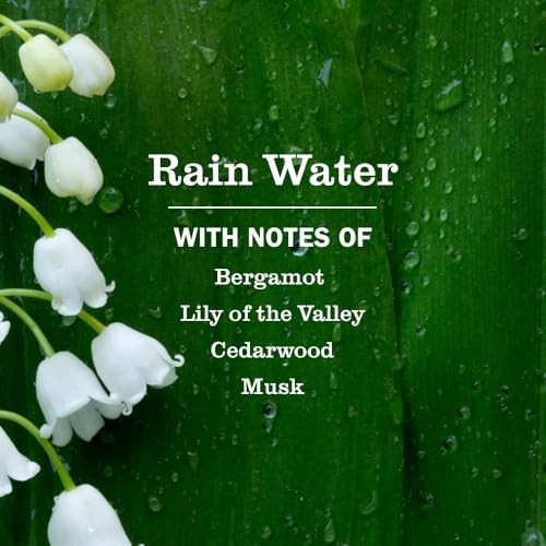 Mrs. Meyer’s Clean Day Multi-Surface Cleaner Concentrate Rain Water 32 Fl Oz