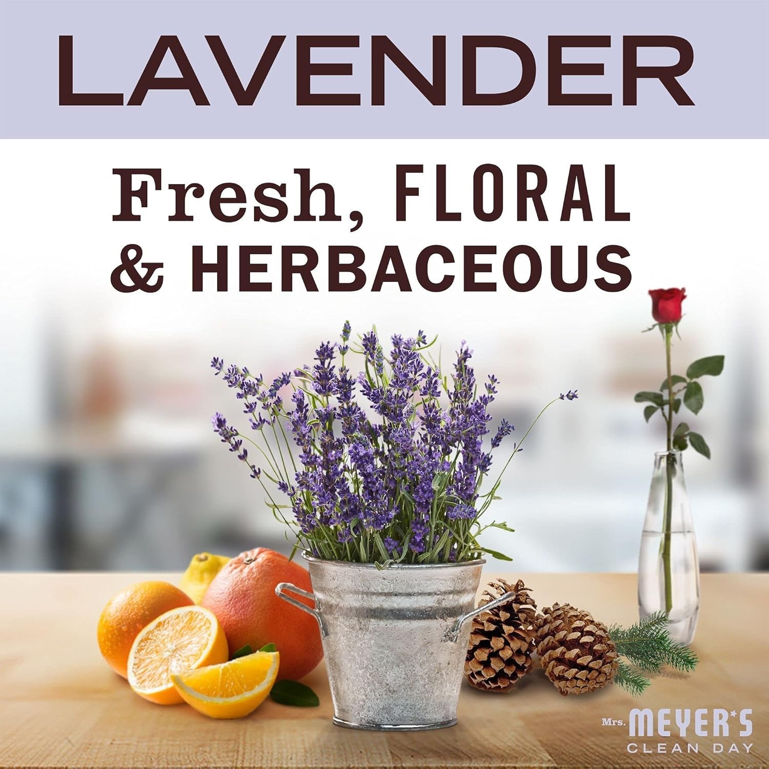 Mrs. Meyer’s Multi-Surface Everyday Cleaner Lavender 16 fl. oz Each (Pack of 6)