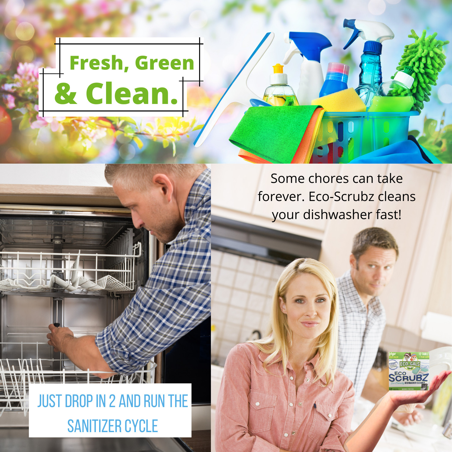 Eco-Gals Eco Scrubz Deep Dishwasher Machine Cleaner Unscented, 12 Count Tablets