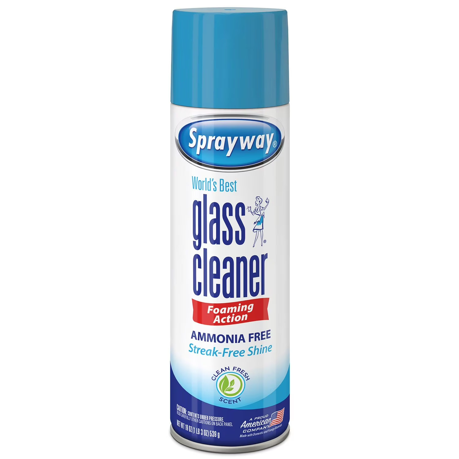 Sprayway Glass Cleaner 19 Ounce Pack of 4 Streak Free Shine.