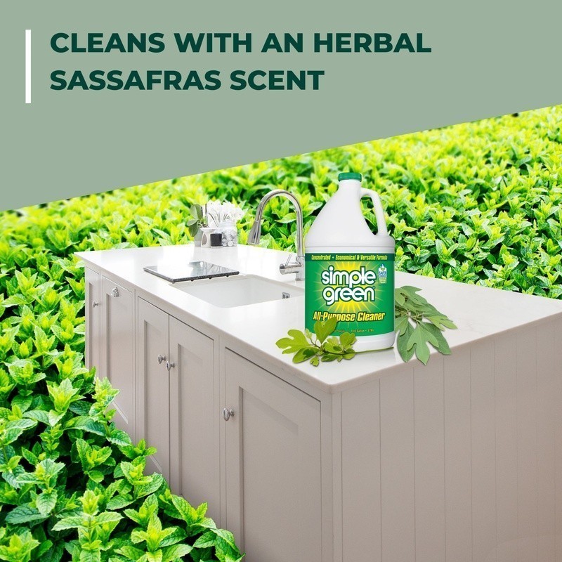 All-Purpose Cleaner Concentrate Safer Choice Stain Remover Sassafras Scent 128oz