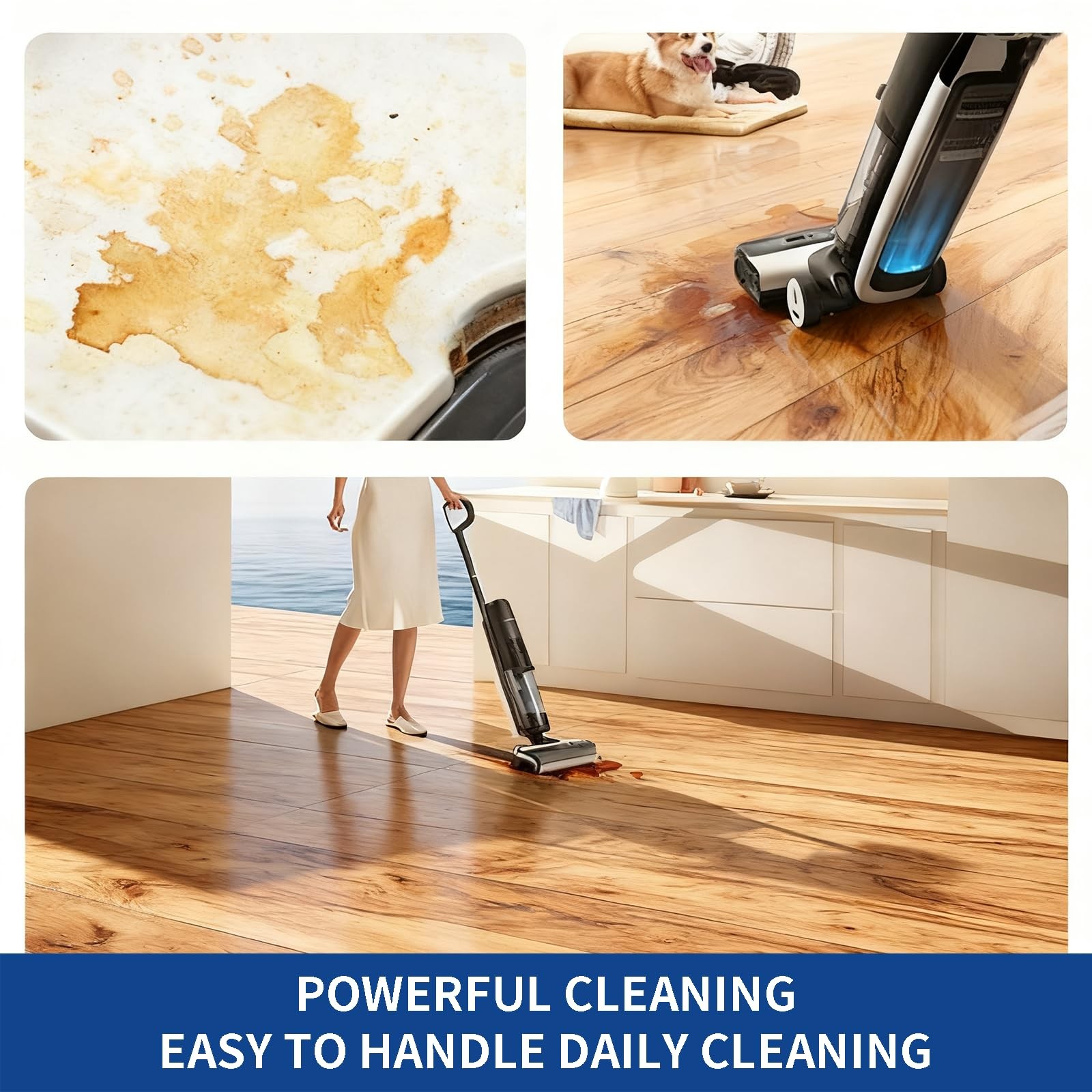 Deep Cleaning & Deodorizing Solution, 25.36FL OZ/750ML, Designed for TINECO, …